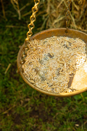 vertical photo iron hanging scales part bowl chain weighing goods traditional close-upの写真素材