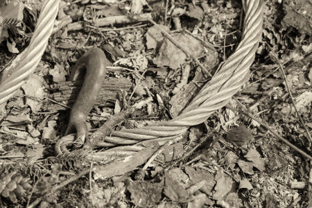 metal cable gray hard hook matted old close up against the background of the earthの写真素材