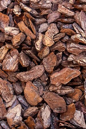 texture wooden piece of bark brown vertical background natural countryの写真素材