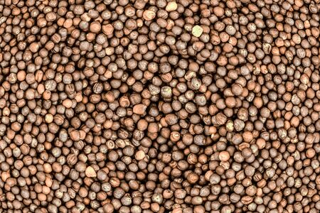 light brown background rapeseed grain many pattern foundation farmの写真素材