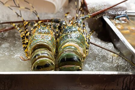the whole lobster is fresh and delicious lies on the ice a delicacyの写真素材