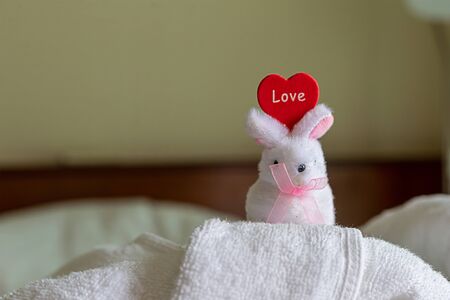 valentines day symbol white rabbit and heart design festive symbol of loveの写真素材