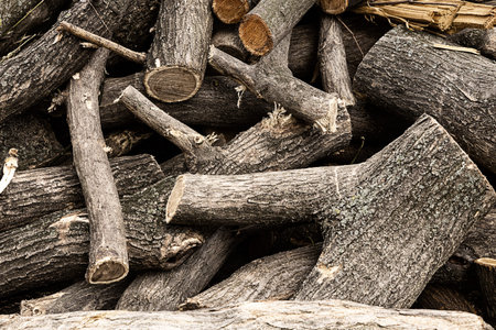 wooden trunk folded in pile to clean the forest used as fuel close-up background