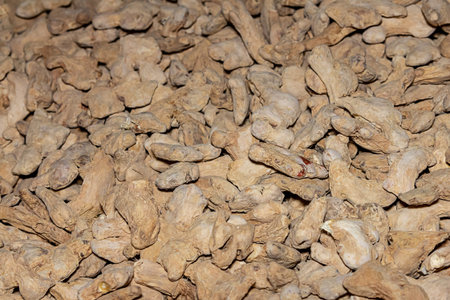 vegetable background root ginger seasoning tasty many light beige curved fruit