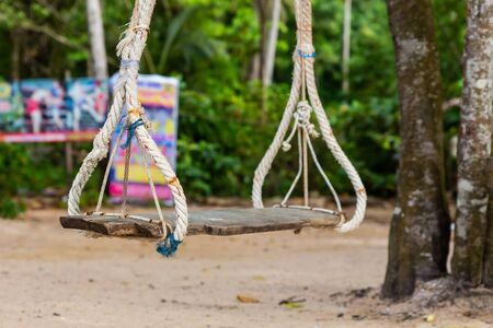 swing suspended on a tree outdoor recreation sunny day. Beach tropical island swingの写真素材