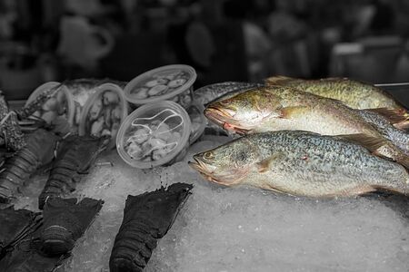 fish fresh base tinted street market ice counter seafoodの写真素材