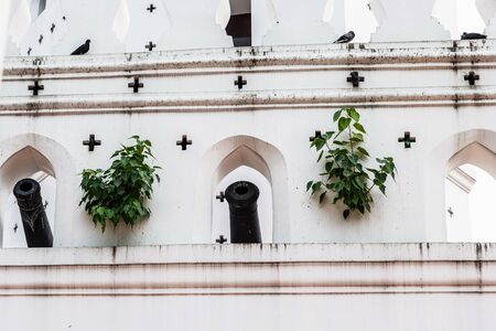 abandoned fort white with green trees growing through the wallの写真素材