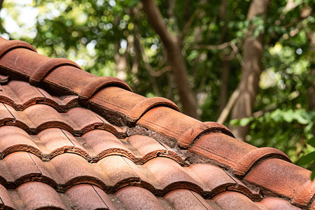 old red tile roof in the shade of trees against the backdrop of the forestの写真素材