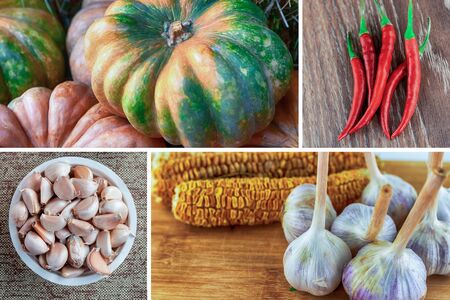 green pumpkin, red chili pepper, bowl of garlic set of vegetables patternの写真素材