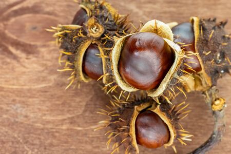 slide of chestnuts open with brown fruit on a wooden tableの写真素材
