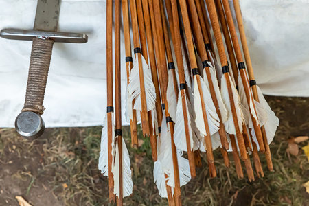 plumage white wooden arrows traditional weapon of the middle ages