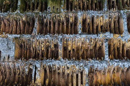 texture wall of an old factory, century old bricks in an industrial wallの写真素材