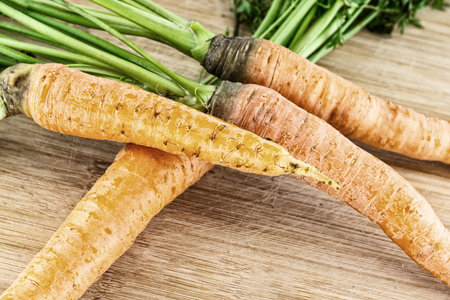 long orange fresh carrots bunch on wooden background tonedの写真素材