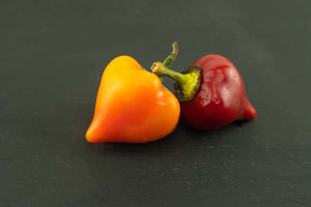 bright chili peppers red and yellow round chili on black backgroundの写真素材