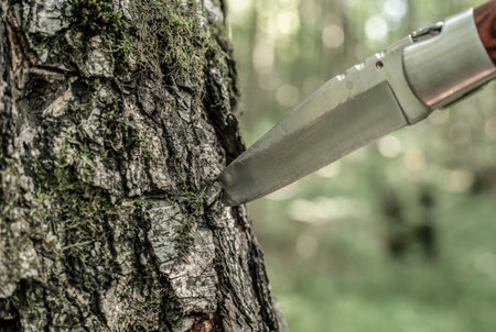 sharp knife stuck into a tree trunk close-up