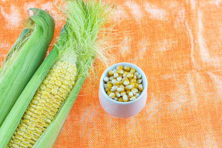 pair of cobs in the foliage and a bowl of grains on a bright background