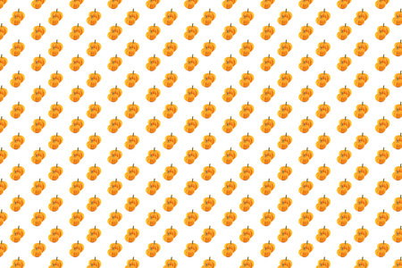 pair of pumpkins orange pattern autumn vegetable halloween symbol on an isolated backgroundの写真素材