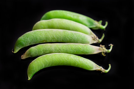 fresh green peas on black background, parallel legume podsの写真素材