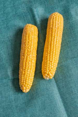 pair of corn cobs on a dark green tablecloth background