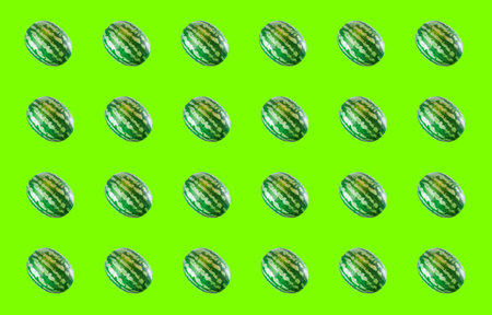 set watermelon whole on a green background, large berry patternの写真素材
