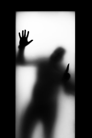 black silhouette on a light background, in the window