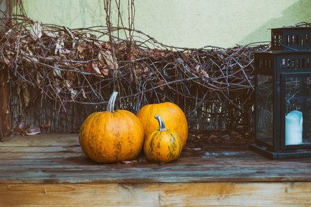 fresh orange pumpkins on wooden wicker fence background, autumn designの写真素材