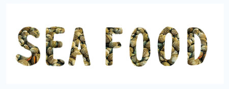 lettering letters texture on white isolated backgroundの写真素材