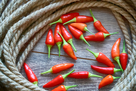 mini chili pepper red fresh pods scattered on the tableの写真素材