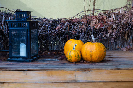 design autumn set three pumpkins and lantern with candleの写真素材