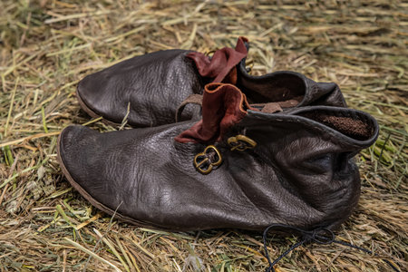 pair of brown leather shoes with buckles close-upの写真素材