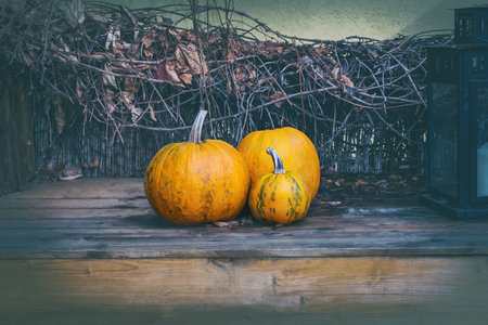 autumn set three pumpkins and lantern with candle toned backgroundの写真素材