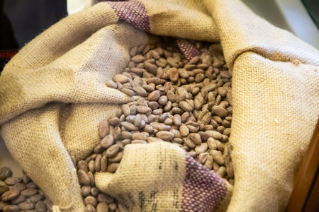 dried cocoa beans in a jute bag close-upの写真素材