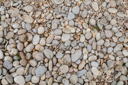 background stone gray, round pebbles, bank of a mountain river close-upの写真素材