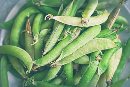 background texture pods of green peas whole close-upの写真素材