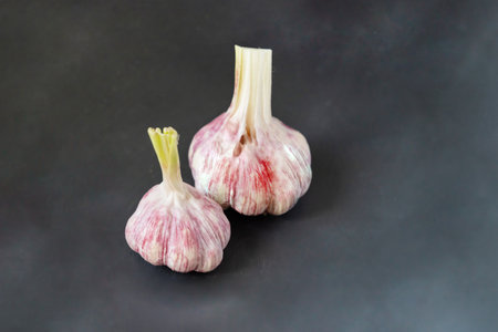 scattering of whole head of garlic in a dark backgroundの写真素材