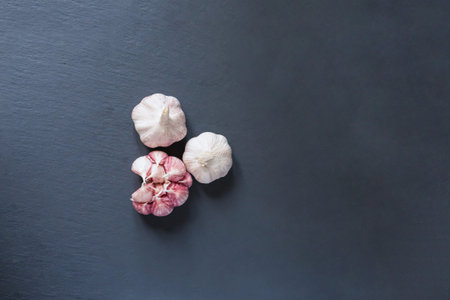 scattering of whole head of garlic in a dark backgroundの写真素材