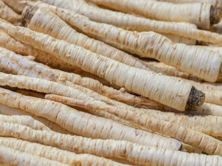 background parsnip white root, long root vegetables design cookingの写真素材