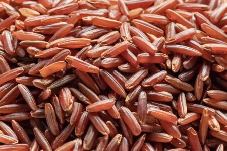 brown rice is very close in solid textureの写真素材