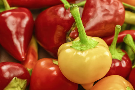 pair of yellow round hot peppers on the background of long red chili pods seasoning