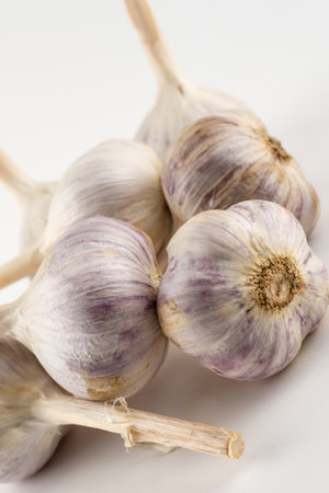 large and mature three heads of white garlic stand on a white background close-upの写真素材