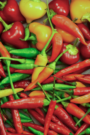 The peppers are of different sizes and colors, creating a vibrant and colorful display. Concept of abundance and varietyの写真素材