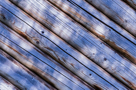A row of wooden logs with a brown and white patternの写真素材