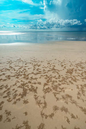 Empty sea and beach background with copy space Phuket, Thailand.の写真素材