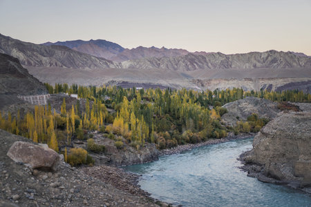 Central Valley oasis in leh ladakh .