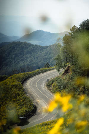 Yellow flowers in the middle of the valley. Countryside road along yellow rapeseed flower field and blue sky,  in Mae Hong Son, thailand.の写真素材