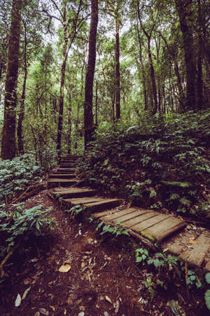 Kio Mae Pan walk to backpack and trekking mountain landscape viewpoint of Kio Mae Pan, Chiang Mai, Thailand.の写真素材