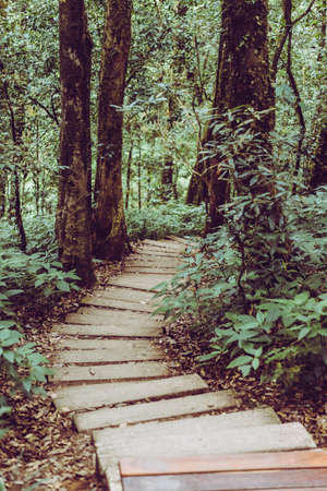 Kio Mae Pan walk to backpack and trekking mountain landscape viewpoint of Kio Mae Pan, Chiang Mai, Thailand.の写真素材