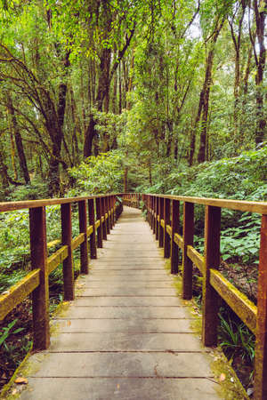 Kio Mae Pan walk to backpack and trekking mountain landscape viewpoint of Kio Mae Pan, Chiang Mai, Thailand.の写真素材