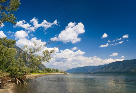 Tree and mountain at lake coast. Altai, Teletskoe lake. Russia.の写真素材