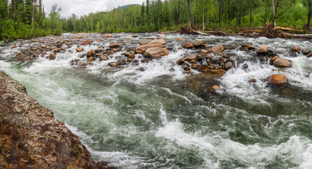 Rough Mountain River in Siberia. Panoramic view.の写真素材